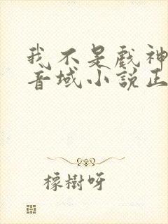 我不是戏神三九音域小说正版