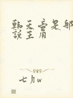 韩天帝是那个小说主角