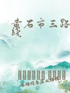黄石市三路车路线