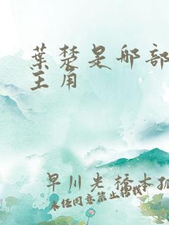 叶楚是哪部小说主角