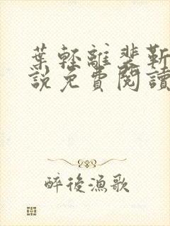 叶轻离裴靳墨小说免费阅读无弹窗