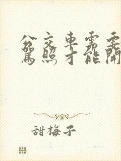 公交车需要什么驾照才能开