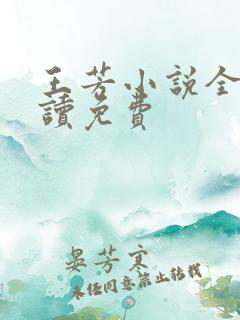王芳小说全文阅读免费