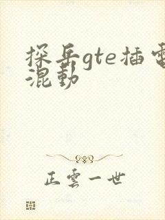 探岳gte插电混动 探岳gte插电混动