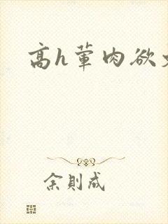 高h荤肉欲文