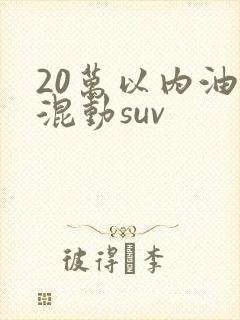 20万以内油电混动suv