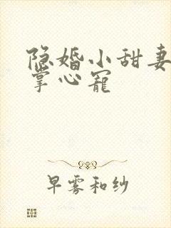 隐婚小甜妻帝少掌心宠