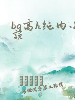 bg高h纯肉小说 bg高h纯肉小说