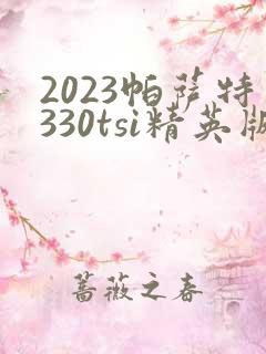 2023帕萨特330tsi精英版