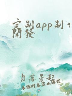 定制app制作开发