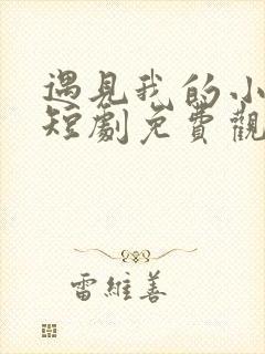 遇见我的小欢喜短剧免费观看全集高清