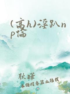(高h)淫趴np伦