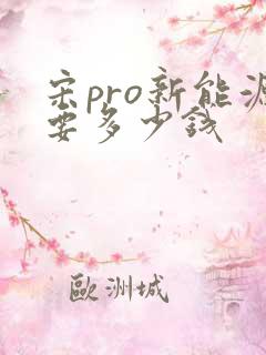 宋pro新能源要多少钱