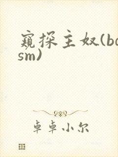 窥探主奴(bdsm)