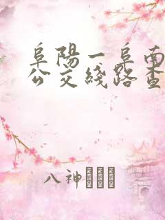 阜阳一阜南城际公交线路查询