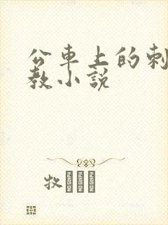 公车上的刺激调教小说 公车上的刺激调教小说