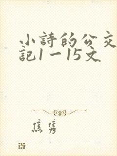 小诗的公交车日记1一15文 小诗的公交车日记1一15文