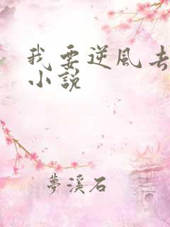 我要逆风去原著小说