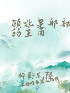 顾北是哪部小说的主角
