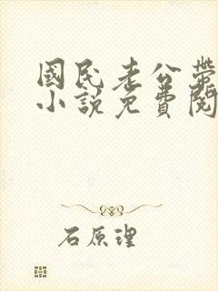 国民老公带回家小说免费阅读全文
