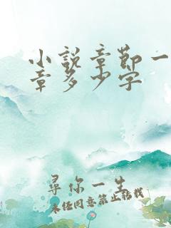 小说章节一般一章多少字