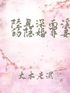 陆见深南溪陆少的隐婚罪妻电子版 陆见深南溪陆少的隐婚罪妻电子版