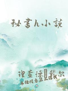 秘书h小说