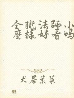 全职法师小说怎么样好看吗