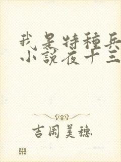 我是特种兵杨洛小说夜十三