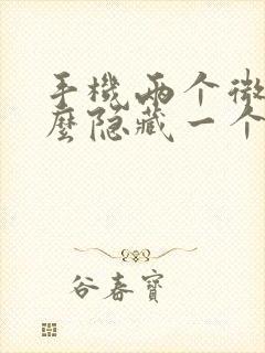 手机两个微信怎么隐藏一个