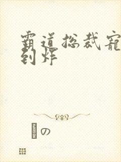 霸道总裁宠文甜到炸 霸道总裁宠文甜到炸