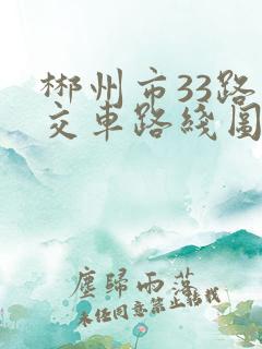 郴州市33路公交车路线图