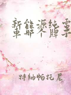 新能源纯电动汽车哪个牌子好