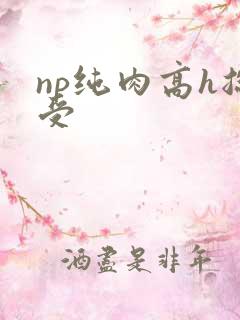 np纯肉高h总受