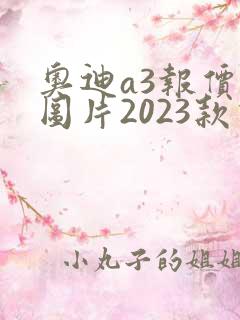 奥迪a3报价及图片2023款价格 奥迪a3报价及图片2023款价格
