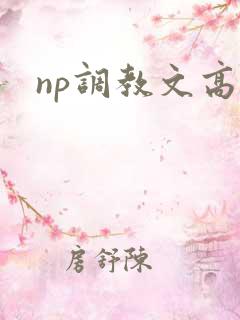 np调教文高h