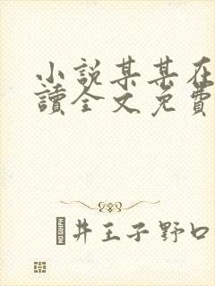 小说某某在线阅读全文免费