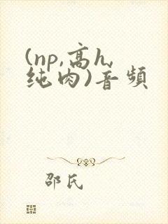 (np,高h,纯肉)音频