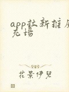app拉新推广充场