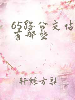 65路公交站点有哪些