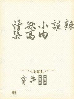 情欲小说辣文合集高肉