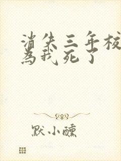 消失三年校花以为我死了