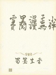 雪里温柔小说免费阅读无弹窗全文