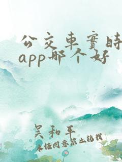 公交车实时查询app哪个好