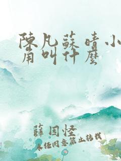 陈凡苏晴小说主角叫什么
