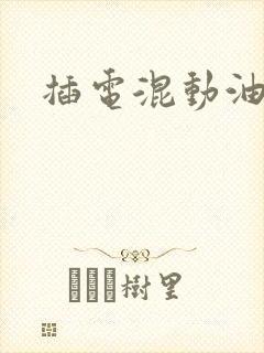 插电混动油耗