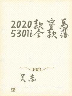 2020款宝马530li全款落地价