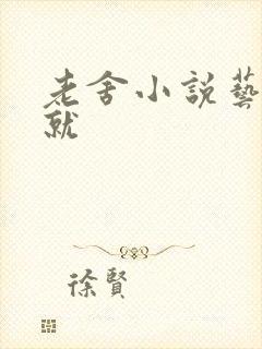 老舍小说艺术成就
