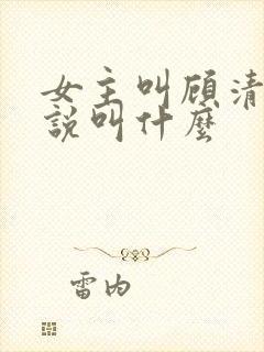 女主叫顾清的小说叫什么