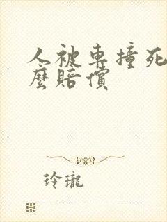 人被车撞死了怎么赔偿
